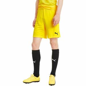 Pantaloni scurti barbati Puma Teamfinal 21 Knit Shorts 70425707 imagine