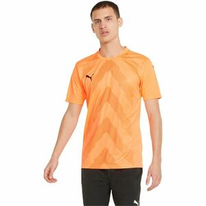 Tricou barbati Puma Teamglory Jersey 70501721 imagine