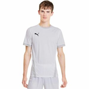 Tricou barbati Puma Teamgoal 23 Jersey 70417104 imagine