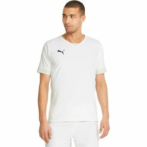 Tricou barbati Puma Teamfinal Jersey 70501604 imagine