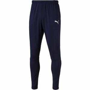 Pantaloni barbati Puma Liga Pants Pro 65531306 imagine