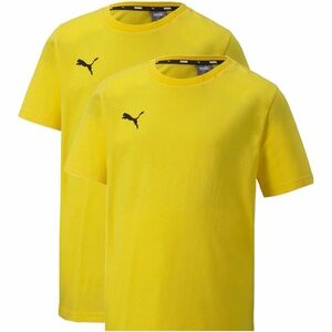 Tricou copii Puma Teamgoal 23 65670907-2PACK imagine