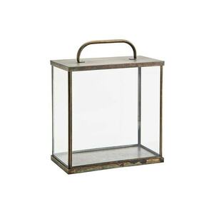 Madam Stoltz felinar imagine