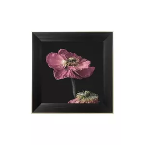 home & lifestyle decorațiune de perete cu ramă ARTISTIC FLOWER NO.1 50 x 50 cm imagine