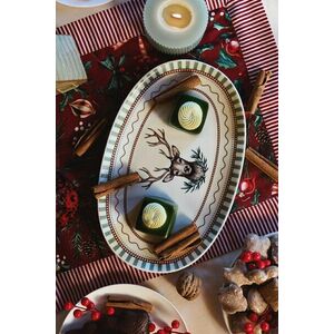 Medicine farfurie imagine