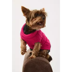 Medicine pulover pentru un animal de companie imagine