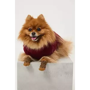 Medicine pulover pentru un animal de companie imagine