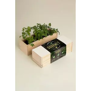 RESETEA set pentru cultivarea plantelor Growing Kit 21 x 7, 8 x 6, 5 cm imagine