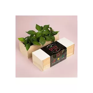 RESETEA set pentru cultivarea plantelor Spicy Growing Kit 21 x 7, 8 x 6, 5 cm imagine
