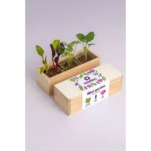 RESETEA set pentru cultivarea plantelor Mini garden Strange vegetables 9, 8 x 8, 8 x 8, 8 cm imagine