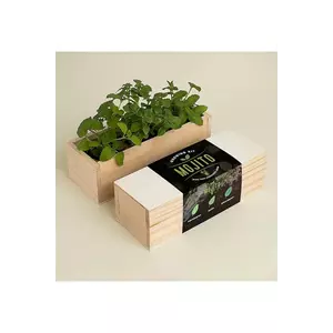 RESETEA set pentru cultivarea plantelor Mojito Growing Kit 21 x 7, 8 x 6, 5 cm imagine