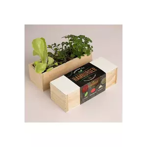 RESETEA set pentru cultivarea plantelor Hamburger Growing Kit 21 x 7, 8 x 6, 5 cm imagine