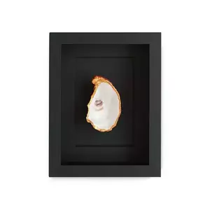 Maria el Mar decorarea peretelui în cadru Single Oyster 22 x 17 cm imagine