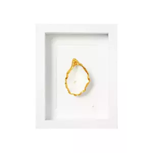 Maria el Mar decorarea peretelui în cadru Single Oyster 22 x 17 cm imagine