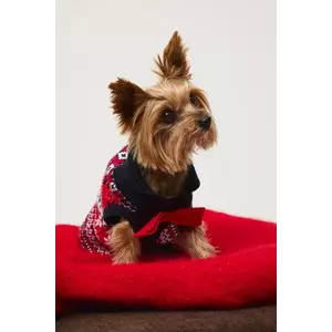 Medicine pulover pentru un animal de companie imagine