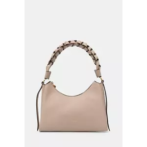 Coccinelle geantă imagine