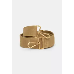 Coccinelle curea poseta imagine