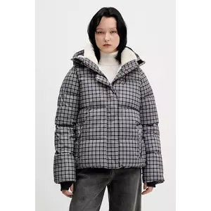 Hollister Co. geacă imagine