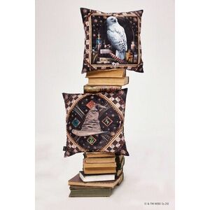 Medicine față de pernă decorativă 2-pack imagine