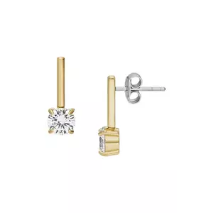 Fossil cercei imagine