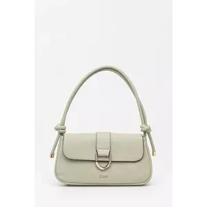 Aldo geantă GISHNAKK imagine