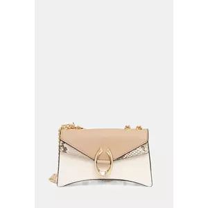 Aldo poșetă FORTUNA imagine