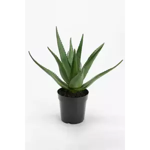 home & lifestyle plantă artificială în ghiveci 38 cm imagine