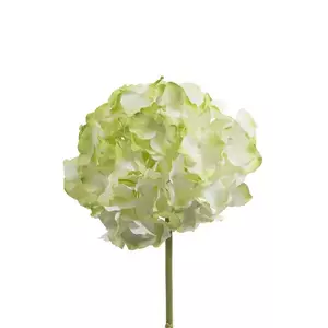 home & lifestyle flori artificiale 48 cm imagine