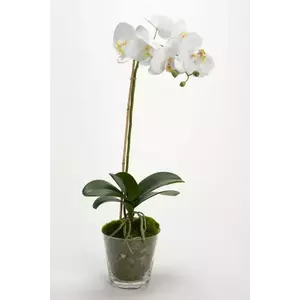 home & lifestyle plantă artificială în ghiveci 63.5 cm imagine