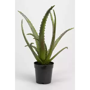 home & lifestyle plantă artificială în ghiveci 48 cm imagine