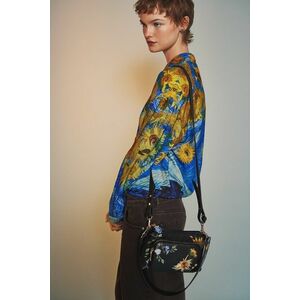 Medicine geantă imagine