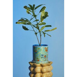 Medicine mască de ghiveci imagine