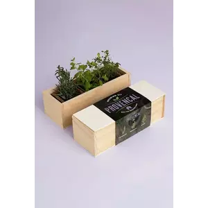 RESETEA kit de cultivare a plantelor aromatice Provencal Growing Kit 21 x 7, 8 x 6, 5 cm imagine