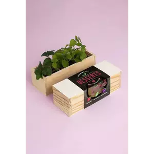 RESETEA set pentru cultivarea plantelor Desserts Growing Kit 21 x 7, 8 x 6, 5 cm imagine