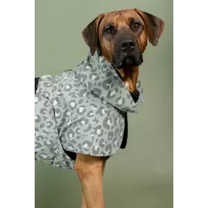 PAIKKA pelerină pentru câini Visibility Raincoat 56 x 45 x 0, 9 cm imagine