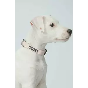 PAIKKA zgardă fluorescentă pentru câini Glow Collar 26 x 2, 5 x 0, 5 cm imagine