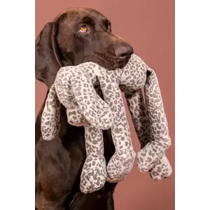 PAIKKA jucarie pentru caini Stone Leo 50 cm imagine