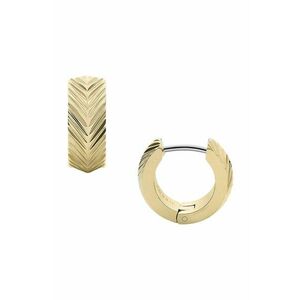 Fossil cercei imagine