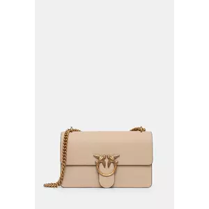 Pinko poseta de piele imagine