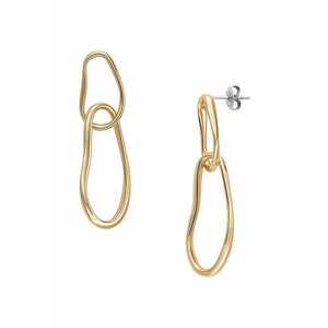 Skagen cercei imagine