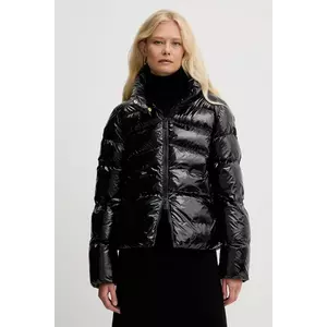 Pinko geacă imagine