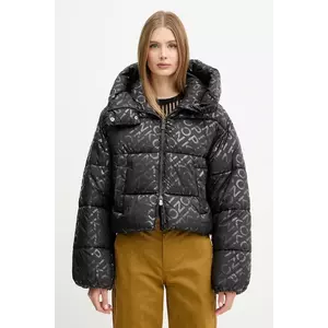 Pinko geacă imagine