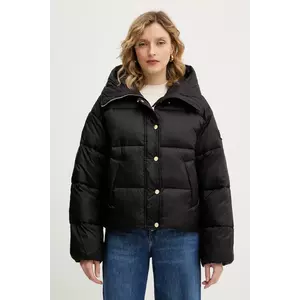 Pinko geacă imagine