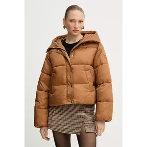 Pinko geacă imagine