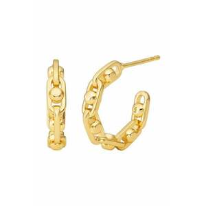 Michael Kors cercei de argint imagine