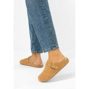 Saboti dama Pravina camel imagine