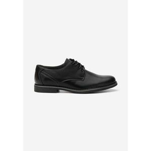 Pantofi casual barbati Anand negri imagine