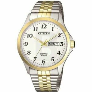 Ceas Citizen Quartz BF5004-93A imagine