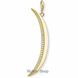 Pandantiv Thomas Sabo Y0057-414-14 imagine