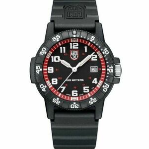 Ceas Luminox Luminox XS.0335 imagine